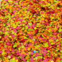 Suzy Sparkles Glitter - Tiger Lily Mix - Chunky