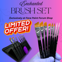 Limited Offer (Only 10) - Enchanted Brush Set + 3 Bonuses (Ships Free)