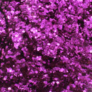 Suzy Sparkles Biodegradable Glitter - Fuchsia - Chunky Suzy Sparkles
