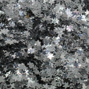 Suzy Sparkles Glitter - Metallic Silver Stars - Chunky - 2 oz Bag Suzy Sparkles