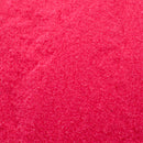 Suzy Sparkles Glitter - Neon Pink - Fine Suzy Sparkles