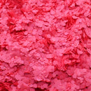 Suzy Sparkles Glitter - Neon Pink - Chunky Suzy Sparkles