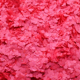 Suzy Sparkles Glitter - Neon Pink - Chunky Suzy Sparkles