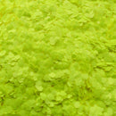 Suzy Sparkles Glitter - Neon Yellow - Chunky Suzy Sparkles