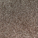 Suzy Sparkles Glitter - Metallic Platinum - Fine - 2 oz Bag