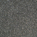 Suzy Sparkles Biodegradable Glitter - Holographic Silver - Fine Suzy Sparkles