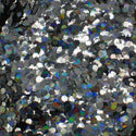 Suzy Sparkles Biodegradable Glitter - Holographic Silver - Chunky