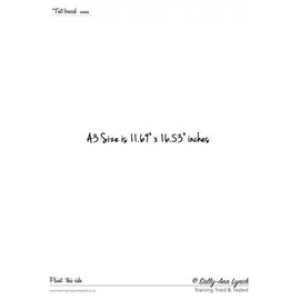 Sally-Ann Lynch Practice Board - Blank A3 0006 Sally Ann Lynch