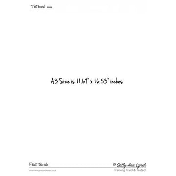 Sally-Ann Lynch Practice Board - Blank A3 0006 Sally Ann Lynch