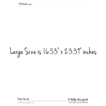 Sally-Ann Lynch Practice Board - Large Blank A2 0006 Sally Ann Lynch